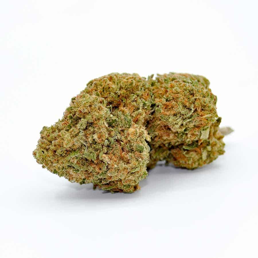 jack herer