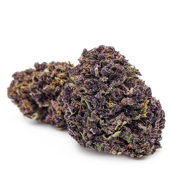 INDOOR PURPLE HAZE