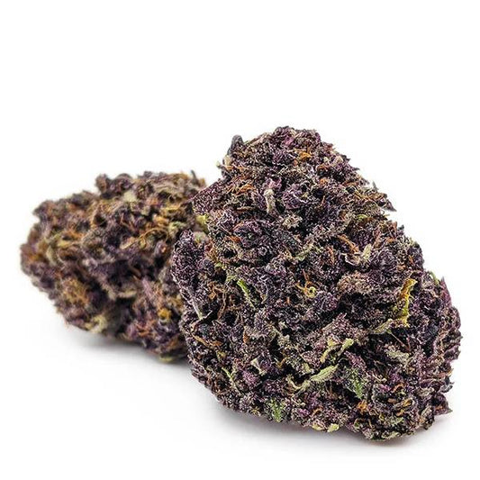Flor de CBB Purple Haze